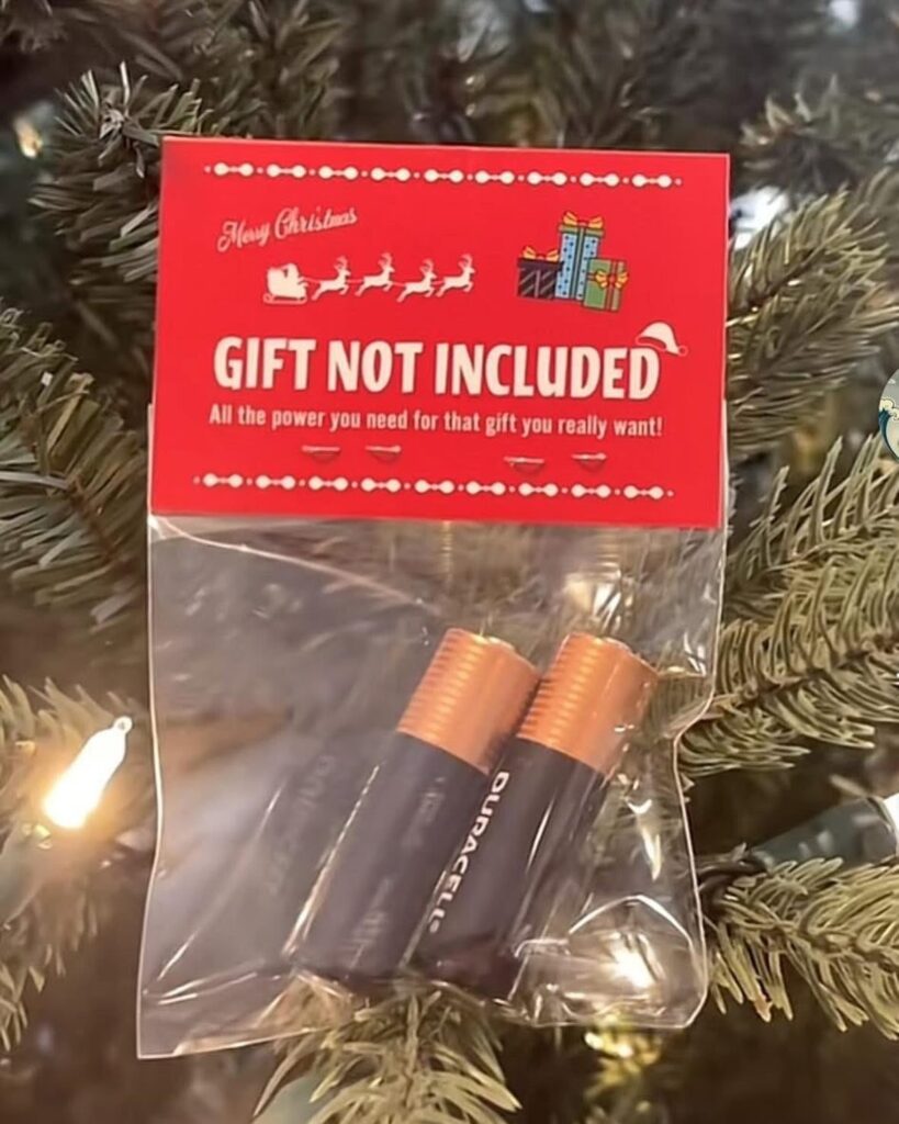 Two batteries in a clear bag with a red gift not included header.